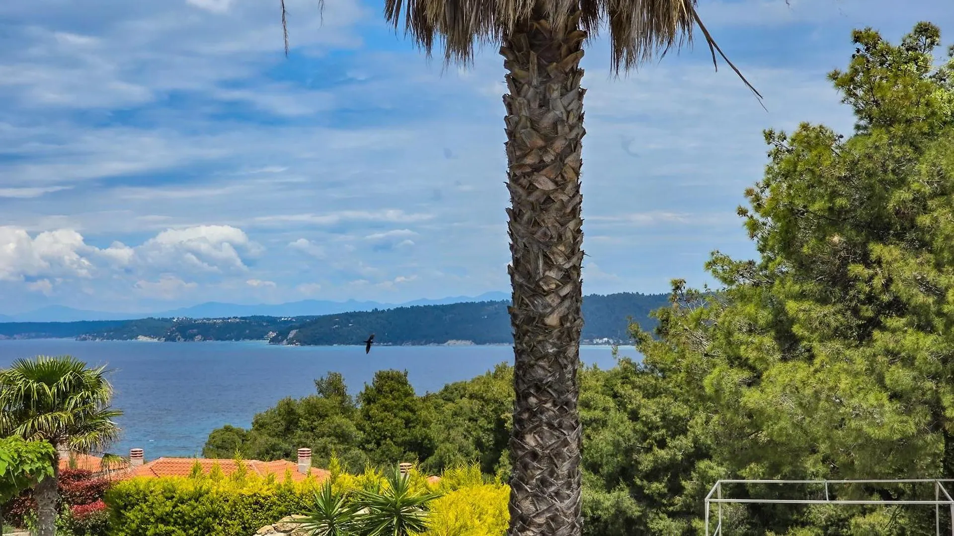 Villa Palma Posidi With Private Pool Kalandra Greece
